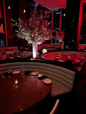 STK Steakhouse by null