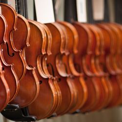 Stringed Instrument Services