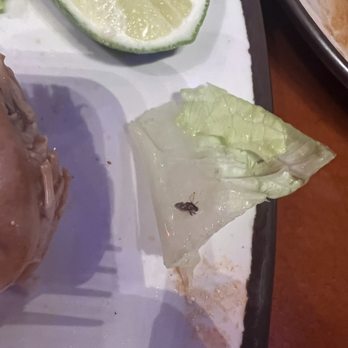 Sonsonate Grill - I guess you can say some extra protein we didn't ask for. - Latin American Near Me - Los Angeles, California Sonsonate Grill - I guess you can say some extra protein we didn't ask for. - Latin American Near Me - Los Angeles, California
