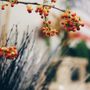 Photo of The Southern California Flower Market