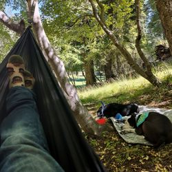 Deerhead Campground - Hammock life is best.