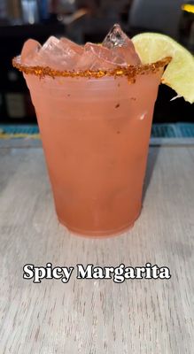 Katch at Venetian Shores by null