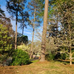 Wesleyan College