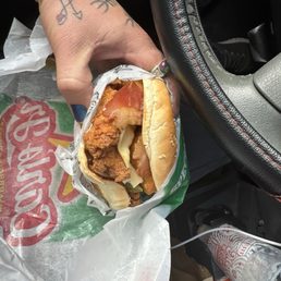 I got the L Diablo burger with chicken instead of beef