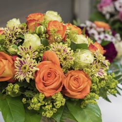 Blumen Meister