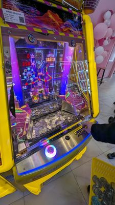 Sweet Cats Union Square by null