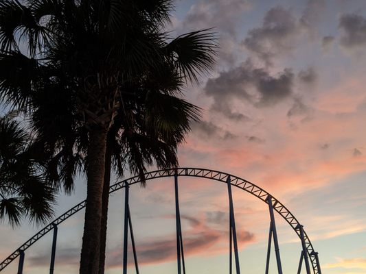 SeaWorld San Antonio by null