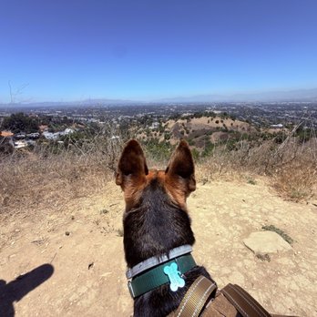 TreePeople - Community Service/Non-Profit Near Me - Beverly Hills, California
