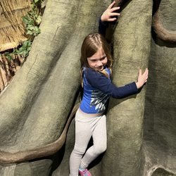 Oklahoma Aquarium - Tree Hugger