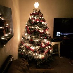 Pete's Trees - Christmas Trees