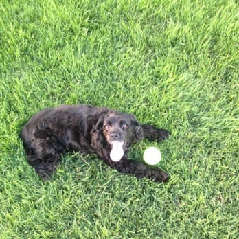 McCune Family Park - Saki loves this place!! - Parks Near Me - Eastvale, California McCune Family Park - Saki loves this place!! - Parks Near Me - Eastvale, California