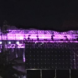 Camp Flog Gnaw Carnival