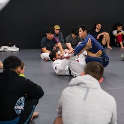Rogue Jiu-Jitsu