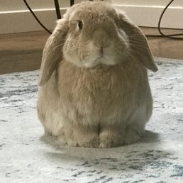 Happy and hoppy again! Happy and hoppy again!