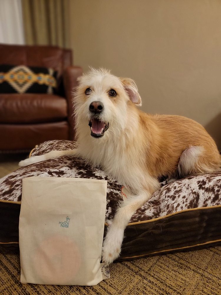 TABLE MOUNTAIN INN Updated October 2024 186 Photos & 448 Reviews