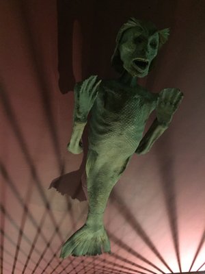 The Viktor Wynd Museum of Curiosities, Fine Art & UnNatural History by null