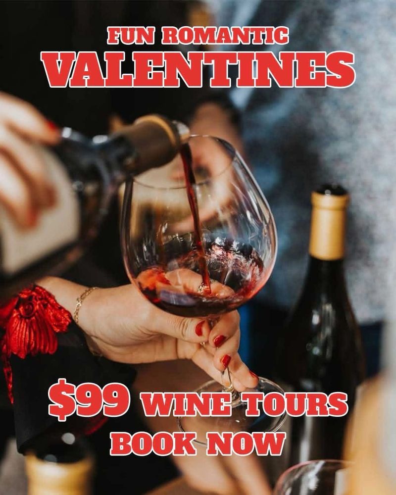 Valle de Guadalupe Wine Tours - vineyard in Chula Vista, CA