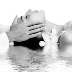 Bodies Kneaded