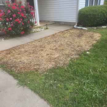 Venyscapes Landscaping Company - Landscaping Near Me Venyscapes Landscaping Company - Landscaping Near Me