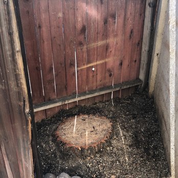 Celis Tree Service - Tree Services Near Me