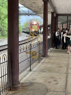 Virginia Scenic Railway by null