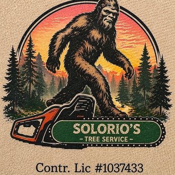 Solorio Tree Service - Tree Services Near Me Solorio Tree Service - Tree Services Near Me