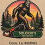 Photo of Solorio Tree Service