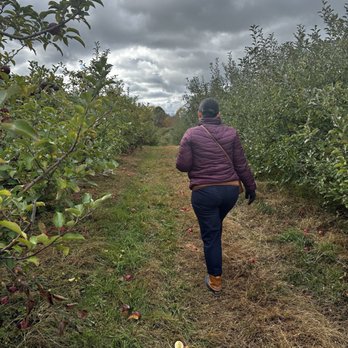 Brant's Apple Orchard - Fruits & Veggies Near Me - Ashtabula, Ohio Brant's Apple Orchard - Fruits & Veggies Near Me - Ashtabula, Ohio