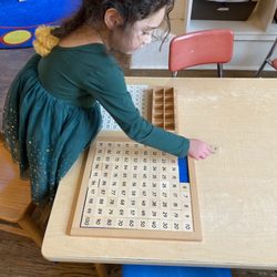 The hundred board