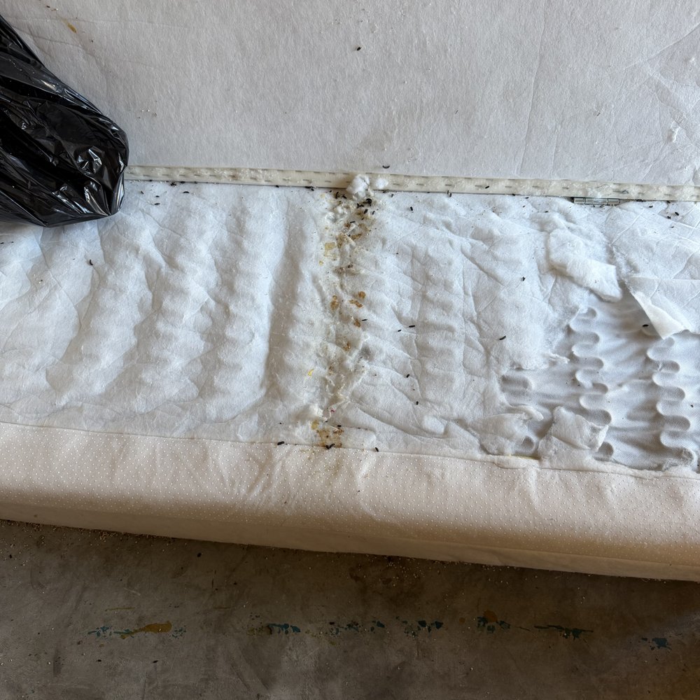 Mini U Storage - Pee and poop all over couch. - Self Storage Near Me - Atascadero, California Mini U Storage - Pee and poop all over couch. - Self Storage Near Me - Atascadero, California