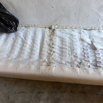 Mini U Storage - Pee and poop all over couch. - Self Storage Near Me - Atascadero, California Mini U Storage - Pee and poop all over couch. - Self Storage Near Me - Atascadero, California