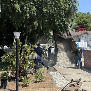Green Crest Tree Care - Tree Services Near Me - Sun valley , California