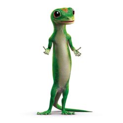 Matt Gallegos - GEICO Insurance Agent