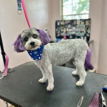 Pink Paw Spa - Pet Groomers Near Me - Gaston, South Carolina Pink Paw Spa - Pet Groomers Near Me - Gaston, South Carolina