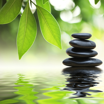 Center For Balance - Pilates Near Me - San Rafael, California Center For Balance - Pilates Near Me - San Rafael, California