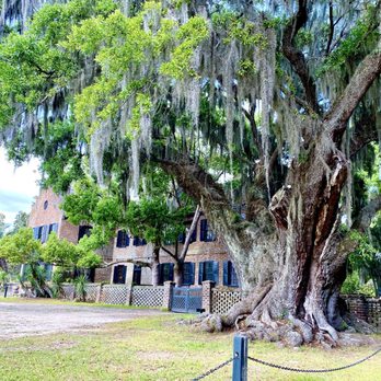 Middleton Place Restaurant - The restaurant by this giant Live Oak. - Seafood Near Me - Charleston, South Carolina Middleton Place Restaurant - The restaurant by this giant Live Oak. - Seafood Near Me - Charleston, South Carolina