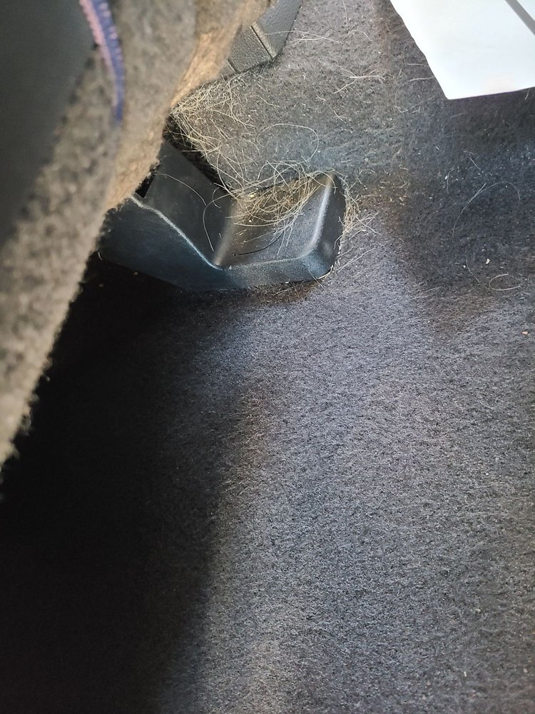 SOMERSVILLE CAR WASH 49 Photos & 119 Reviews Car Wash 3103 Delta