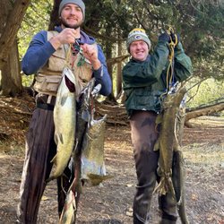 Lakes Area Bait Shop - King Salmon fishing the Betsie River 2024