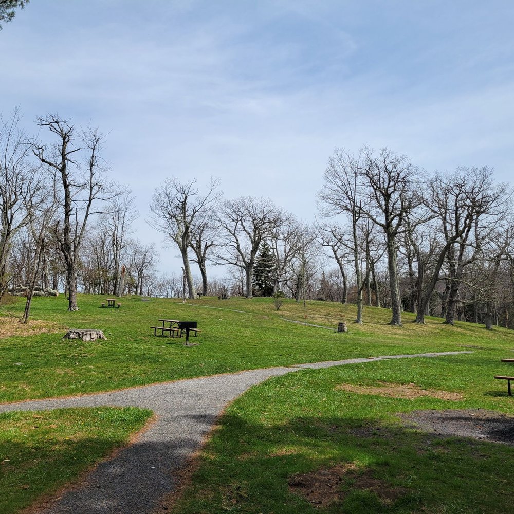 Pinnacles Picnic Ground - Picnic tables and grills in the grassy area - Parks Near Me - Luray, Virginia Pinnacles Picnic Ground - Picnic tables and grills in the grassy area - Parks Near Me - Luray, Virginia