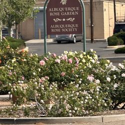Tony Hillerman Library
