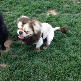 Kearny Mesa Dog Park - Dog Parks Near Me - San Diego, California Kearny Mesa Dog Park - Dog Parks Near Me - San Diego, California
