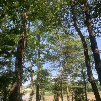 Bennetts Creek Park - Parks Near Me - Suffolk, Virginia