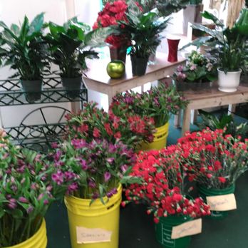 Fioravanti Florist - Florists Near Me - Rochester, New York