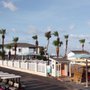 Peyton's Beach Carts