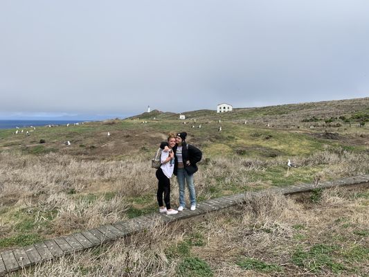 Anacapa Island by null