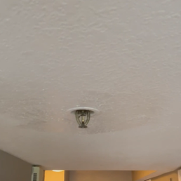 Here is a picture of the sprinklerhead. You be the judge of whether I would call this in for no reason. Here is a picture of the sprinklerhead. You be the judge of whether I would call this in for no reason.