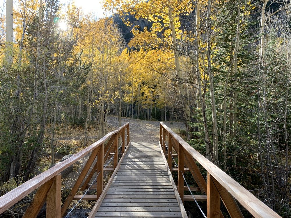 Silver Dale Interpretive Site Logo