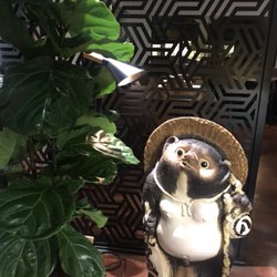 Tanuki - TANUKI