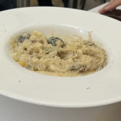 Capuccino - mushroom risotto