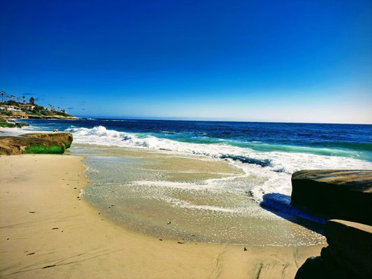 Windansea Beach by null